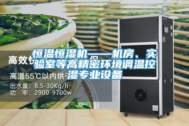 恒溫恒濕機(jī)——機(jī)房、實驗室等高精密環(huán)境調(diào)溫控濕專業(yè)設(shè)備