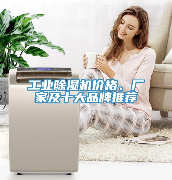 工業(yè)除濕機(jī)價(jià)格、廠家及十大品牌推薦