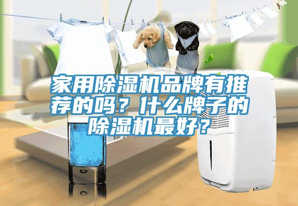 家用除濕機(jī)品牌有推薦的嗎？什么牌子的除濕機(jī)最好？
