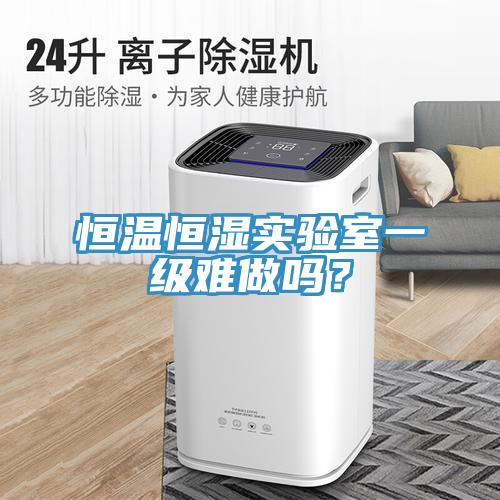恒溫恒濕實(shí)驗(yàn)室一級(jí)難做嗎？