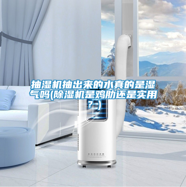 抽濕機(jī)抽出來的水真的是濕氣嗎(除濕機(jī)是雞肋還是實(shí)用？)