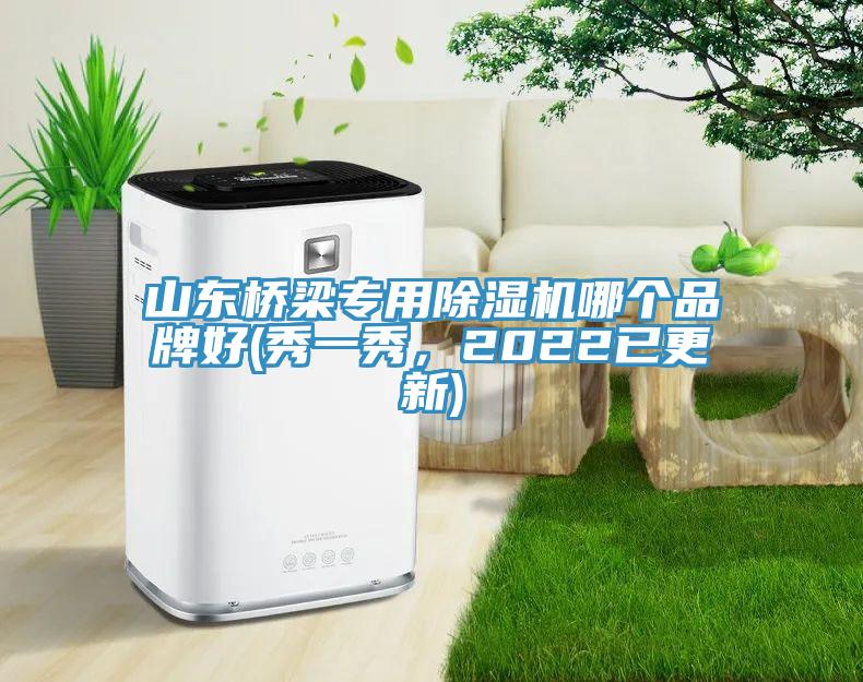 山東橋梁專用除濕機哪個品牌好(秀一秀，2022已更新)