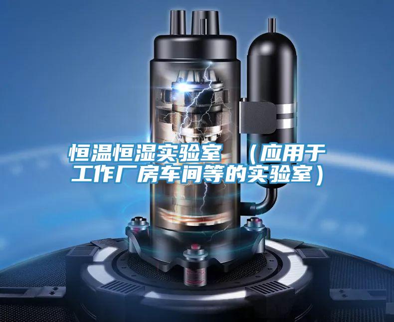 恒溫恒濕實(shí)驗(yàn)室 （應(yīng)用于工作廠房車(chē)間等的實(shí)驗(yàn)室）