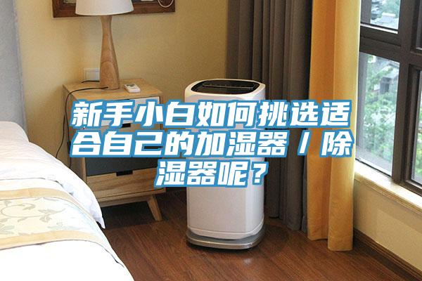 新手小白如何挑選適合自己的加濕器／除濕器呢？