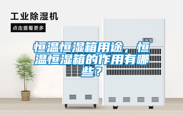 恒溫恒濕箱用途，恒溫恒濕箱的作用有哪些？