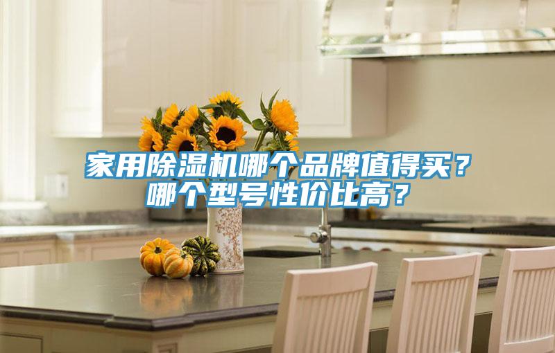 家用除濕機(jī)哪個(gè)品牌值得買？哪個(gè)型號(hào)性價(jià)比高？