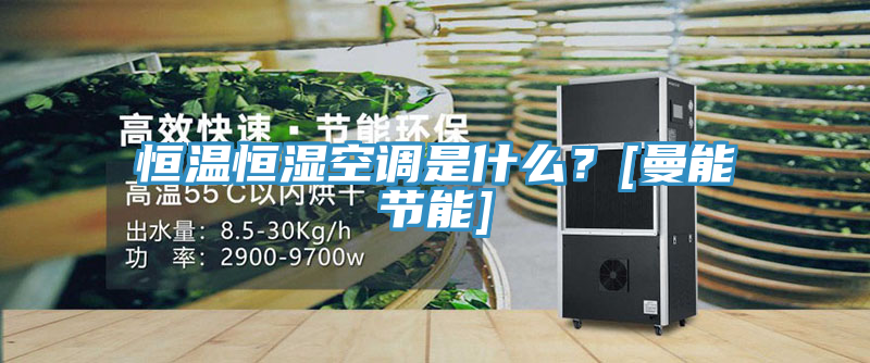 恒溫恒濕空調(diào)是什么？[曼能節(jié)能]