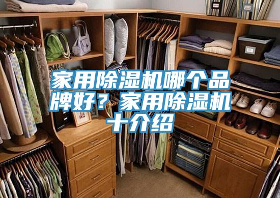 家用除濕機(jī)哪個(gè)品牌好？家用除濕機(jī)十介紹