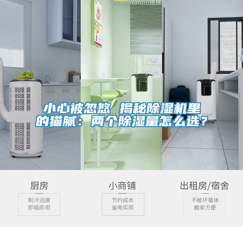 小心被忽悠 揭秘除濕機里的貓膩：兩個除濕量怎么選？