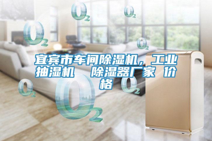 宜賓市車間除濕機，工業(yè)抽濕機  除濕器廠家 價格