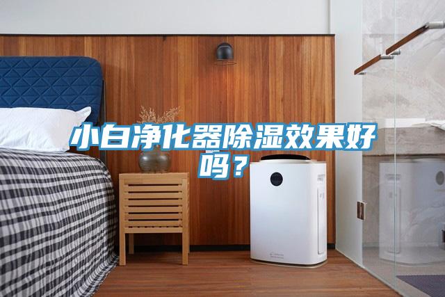 小白凈化器除濕效果好嗎？