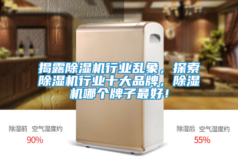 揭露除濕機(jī)行業(yè)亂象，探索除濕機(jī)行業(yè)十大品牌，除濕機(jī)哪個(gè)牌子最好！