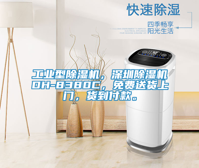 工業(yè)型除濕機，深圳除濕機DH-8380C，免費送貨上門，貨到付款。