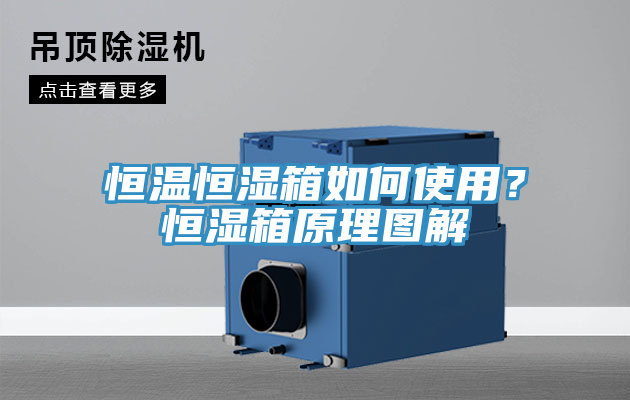 恒溫恒濕箱如何使用？恒濕箱原理圖解