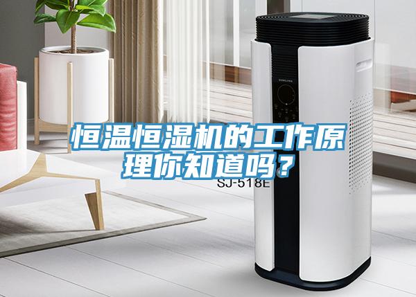 恒溫恒濕機的工作原理你知道嗎？