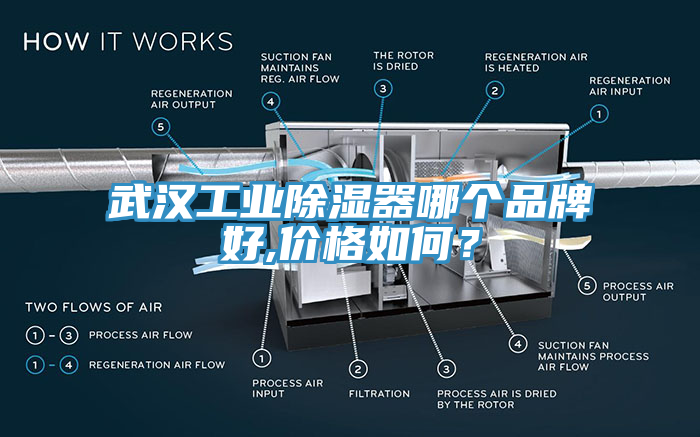 武漢工業(yè)除濕器哪個品牌好,價格如何？