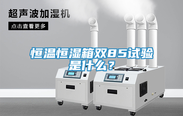 恒溫恒濕箱雙85試驗是什么？