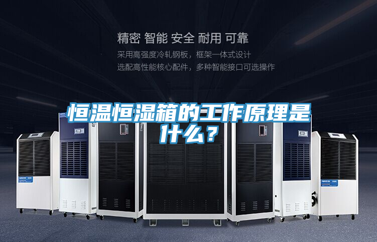 恒溫恒濕箱的工作原理是什么？