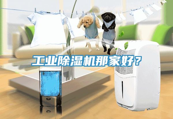 工業(yè)除濕機那家好？