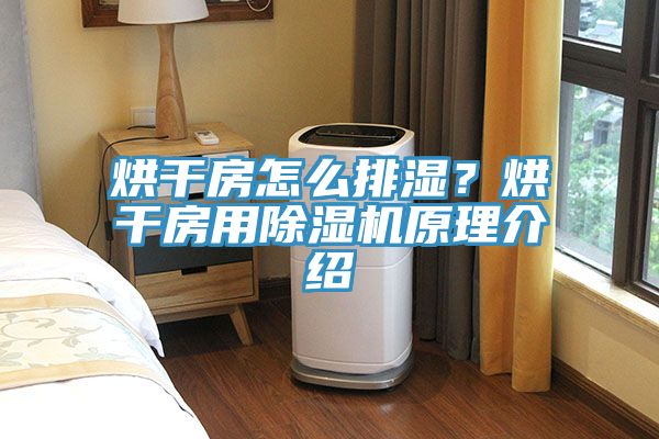 烘干房怎么排濕？烘干房用除濕機(jī)原理介紹