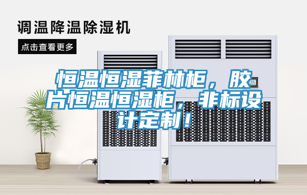 恒溫恒濕菲林柜，膠片恒溫恒濕柜，非標(biāo)設(shè)計定制！