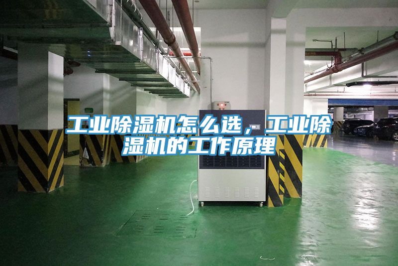 工業(yè)除濕機(jī)怎么選，工業(yè)除濕機(jī)的工作原理