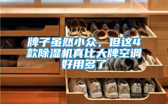 牌子雖然小眾，但這4款除濕機真比大牌空調(diào)好用多了