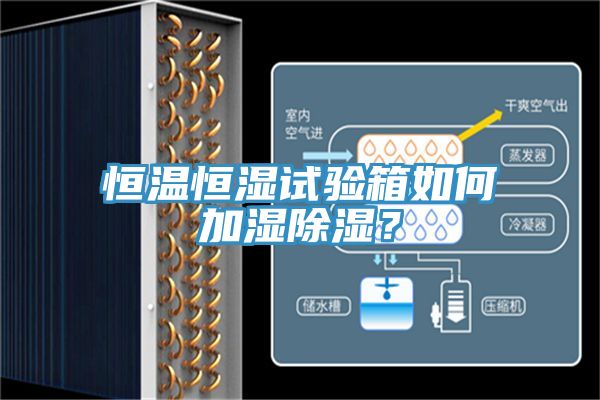 恒溫恒濕試驗箱如何加濕除濕？
