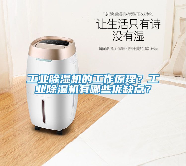 工業(yè)除濕機(jī)的工作原理？工業(yè)除濕機(jī)有哪些優(yōu)缺點(diǎn)？