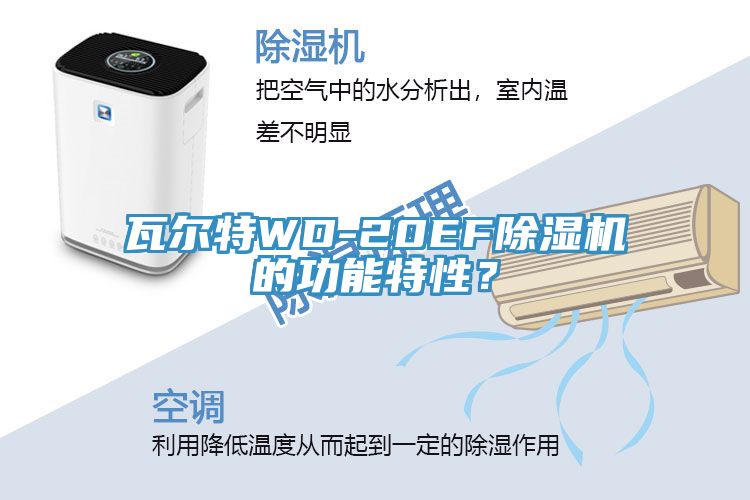 瓦爾特WD-20EF除濕機(jī)的功能特性？