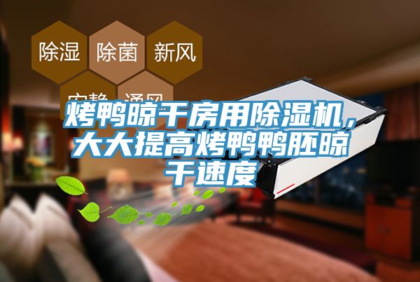 烤鴨晾干房用除濕機(jī)，大大提高烤鴨鴨胚晾干速度