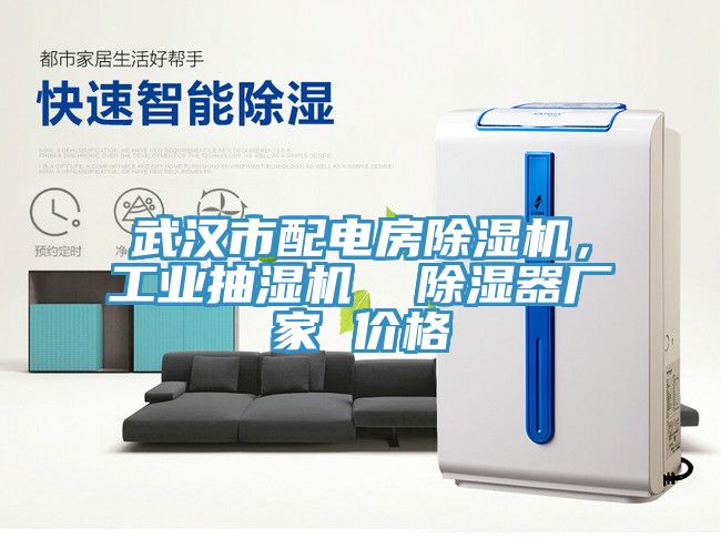 武漢市配電房除濕機(jī)，工業(yè)抽濕機(jī)  除濕器廠家 價(jià)格