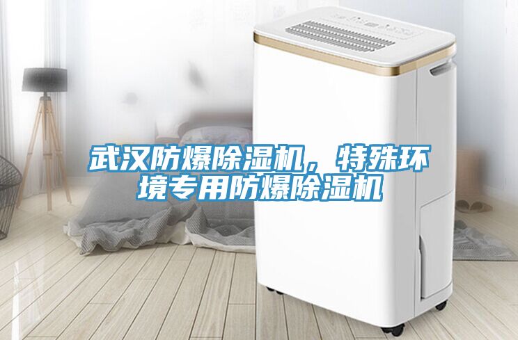 武漢防爆除濕機(jī)，特殊環(huán)境專用防爆除濕機(jī)