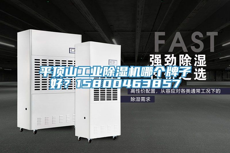 平頂山工業(yè)除濕機(jī)哪個牌子好？15800463857