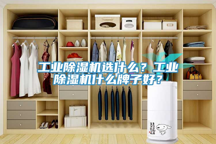 工業(yè)除濕機(jī)選什么？工業(yè)除濕機(jī)什么牌子好？