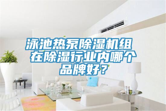 泳池熱泵除濕機組 在除濕行業(yè)內哪個品牌好？