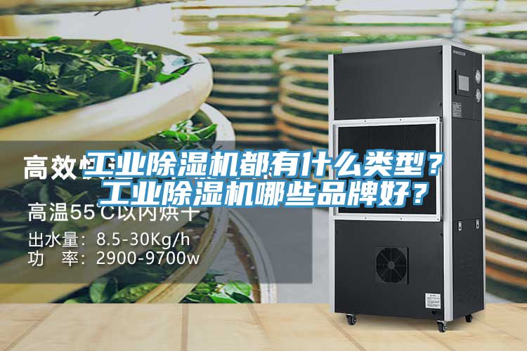 工業(yè)除濕機都有什么類型？工業(yè)除濕機哪些品牌好？