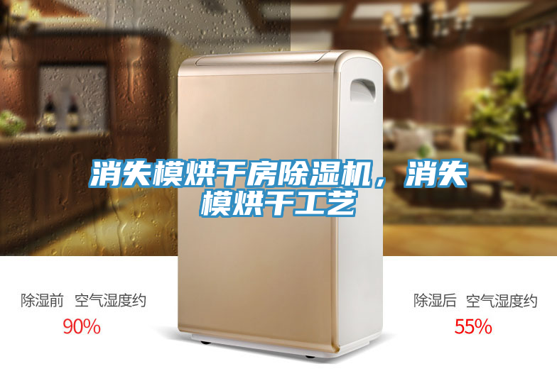 消失模烘干房除濕機，消失模烘干工藝