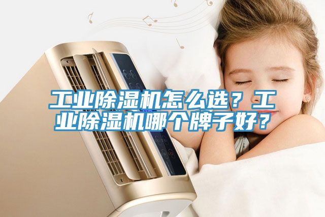 工業(yè)除濕機(jī)怎么選？工業(yè)除濕機(jī)哪個牌子好？