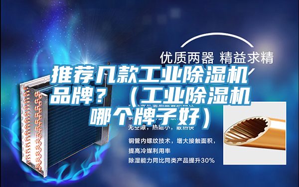 推薦幾款工業(yè)除濕機品牌？（工業(yè)除濕機哪個牌子好）
