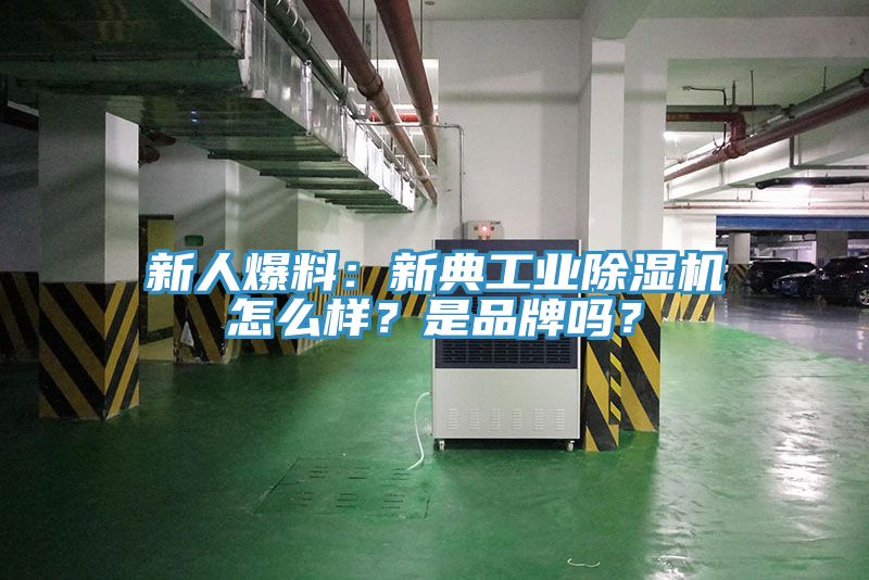 新人爆料：新典工業(yè)除濕機怎么樣？是品牌嗎？