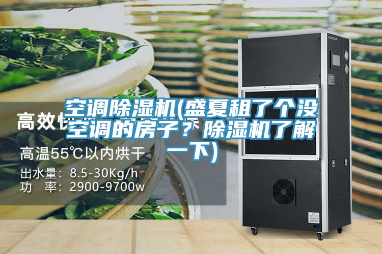 空調(diào)除濕機(jī)(盛夏租了個(gè)沒(méi)空調(diào)的房子？除濕機(jī)了解一下)