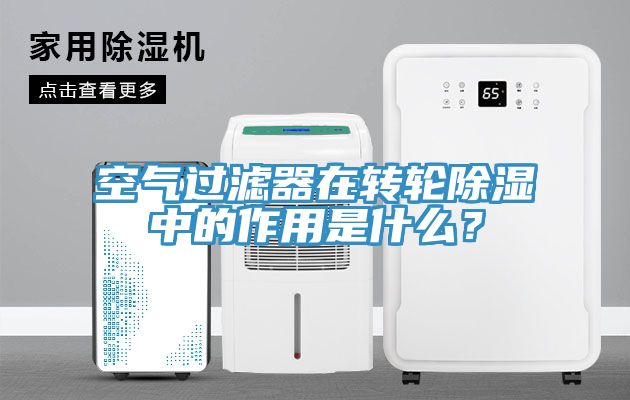 空氣過(guò)濾器在轉(zhuǎn)輪除濕中的作用是什么？