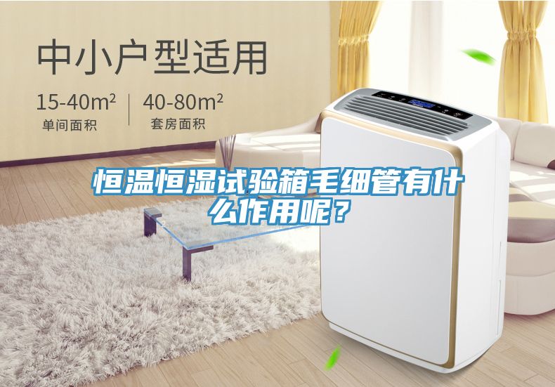 恒溫恒濕試驗(yàn)箱毛細(xì)管有什么作用呢？