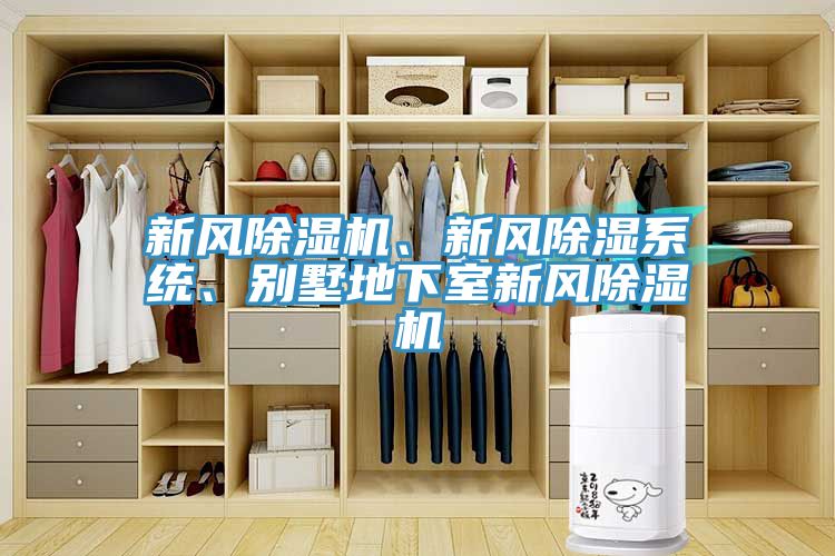 新風除濕機、新風除濕系統(tǒng)、別墅地下室新風除濕機