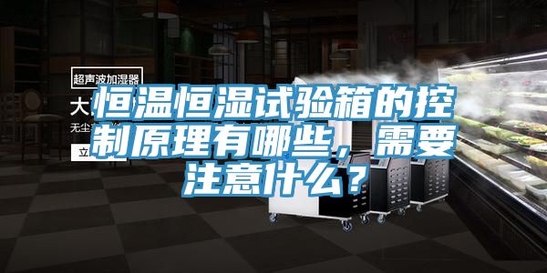 恒溫恒濕試驗箱的控制原理有哪些，需要注意什么？