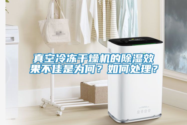 真空冷凍干燥機(jī)的除濕效果不佳是為何？如何處理？