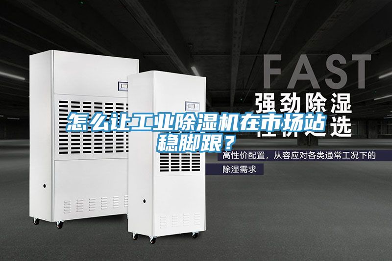 怎么讓工業(yè)除濕機(jī)在市場(chǎng)站穩(wěn)腳跟？