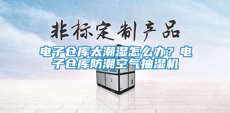 電子倉庫太潮濕怎么辦？電子倉庫防潮空氣抽濕機