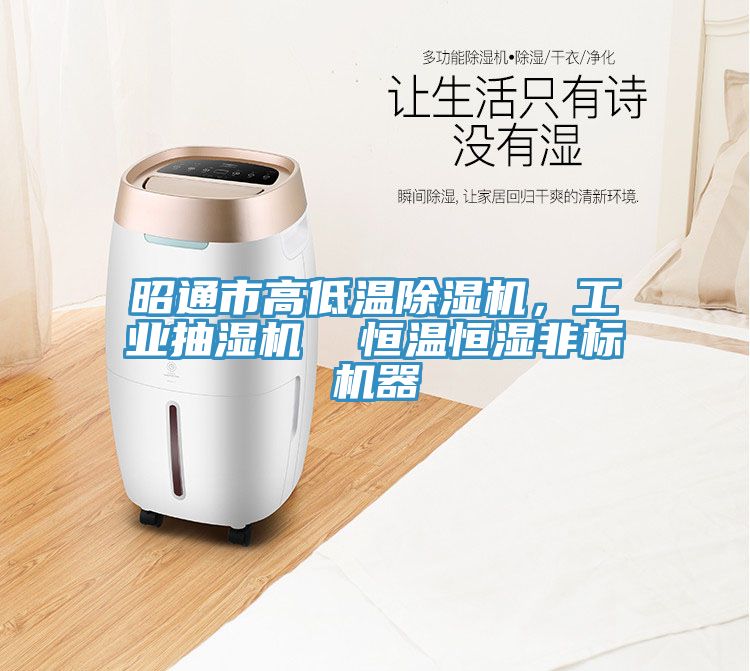 昭通市高低溫除濕機(jī)，工業(yè)抽濕機(jī)  恒溫恒濕非標(biāo)機(jī)器